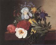 Jensen Johan The White Iris oil painting